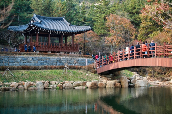 14일 태안읍 동문리에서 열린 ‘생태문화 샘골 도시공원 준공식’ 모습.