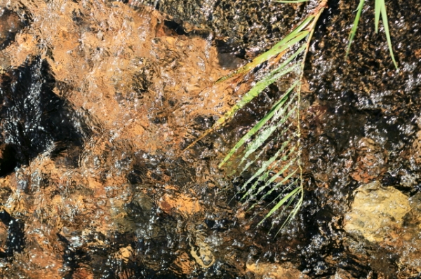 한밭대 포토에세이 공모전 일반부 대상 이가현 씨의 ‘나를 이끈 수통골’