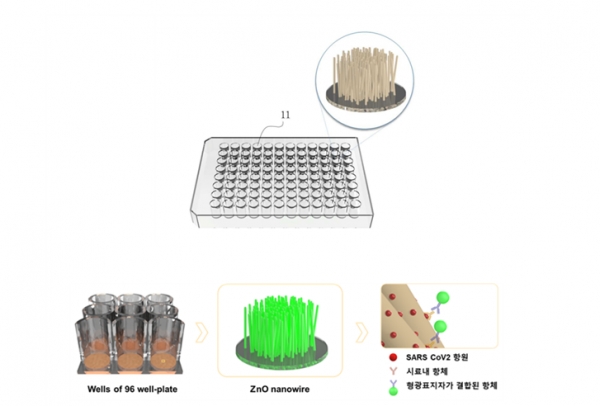 신규 고감도 면역진단용 기판(위), 항원 고집적 기반 고감도 코로나19 항체 면역진단 기술(아래)