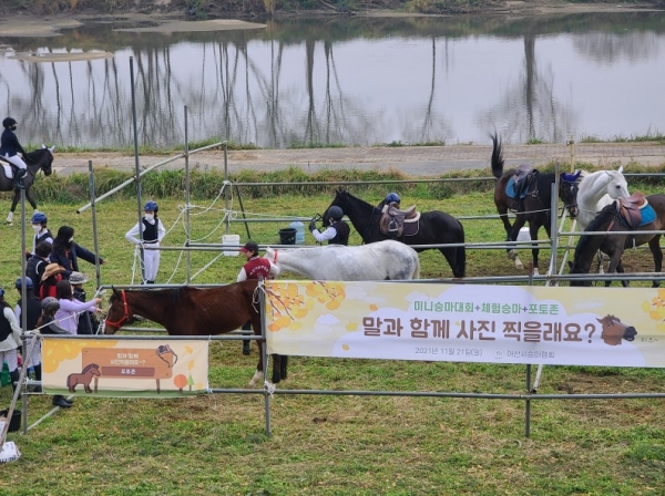 은행나무길-일상으로의 회복’ 행사 장면