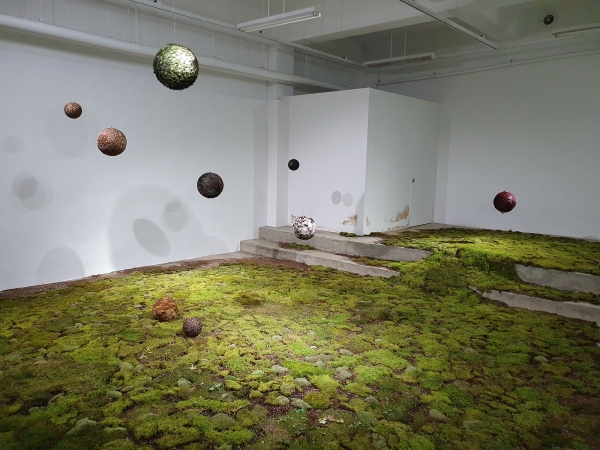 임선이 개인전 이미지