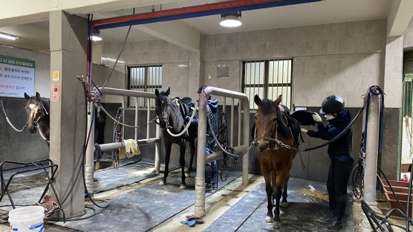 지난 28일 6등급 기승능력인증시험 현장 모습