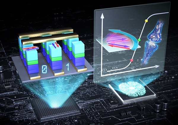 반강자성 기반 스핀 소자 응용(왼쪽) 및 멀티레벨을 활용한 뇌 모사 컴퓨팅 응용 모식도