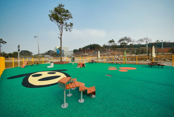 태안 반려동물 놀이터 모습