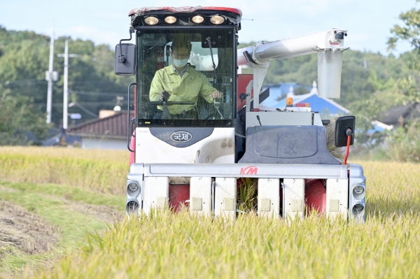 공익직불금 관련 자료사진 - 벼베기 봉사활동