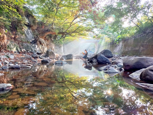 스마트폰 사진 (대상- 허만현 여름 날의 휴식)