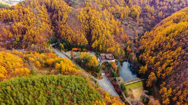 만인산 가을풍경