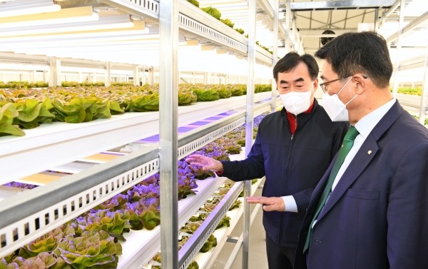(농)팜에이트(주) 현장 방문 사진 * 한국농수산식품유통공사 김춘진 사장(우측), (농)팜에이트(주) 박종위 대표(좌측)