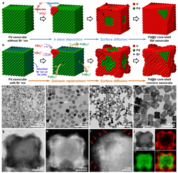 오목한 형태의 이리듐 촉매