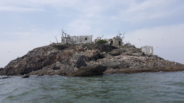 서천군 마서면 소재 노루섬