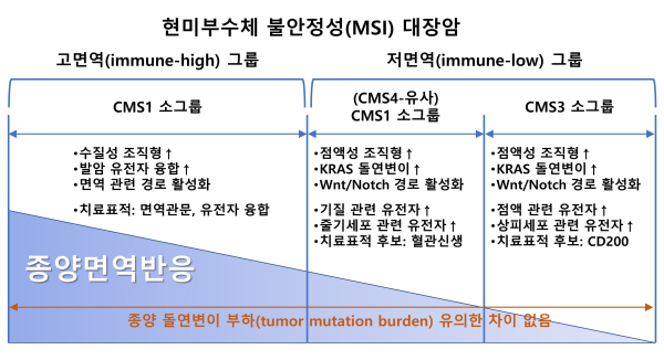 국문자료 삽입그림