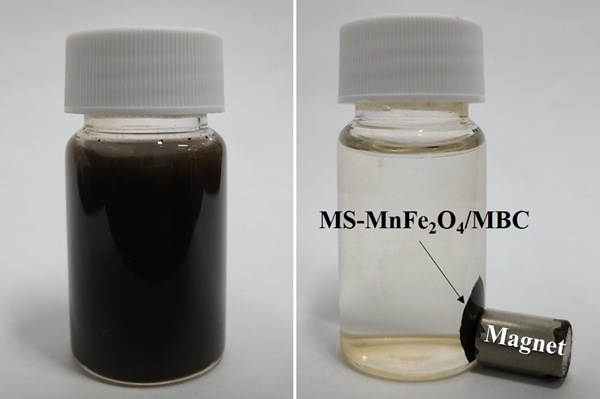 흡착 공정 후 외부자력을 통해 액상으로부터 소재를 분리, 회수하는 모습