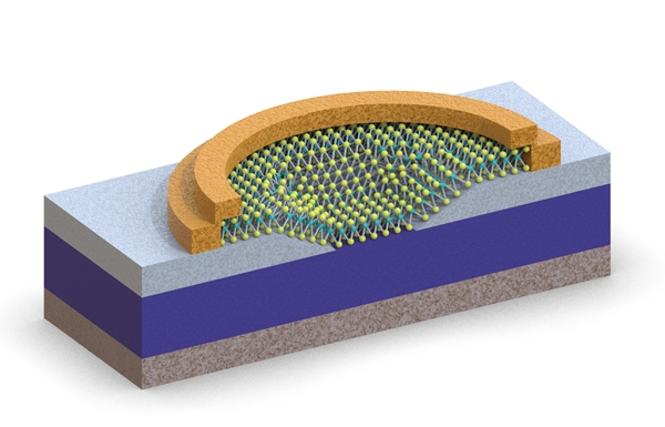 게르마늄/이황화몰리브덴 이종접합 광센서 모식도