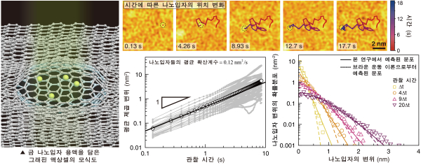 그래핀 액상셀 투과전자현미경법을 통한 나노입자의 비정규 확산과정 관찰 및 해석