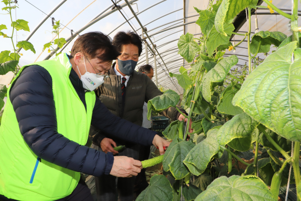 이종욱 충남세종농협본부장(앞)과 윤관호 고덕농협조합장(뒤)은 청년농업인 이규필(29)씨 농장을 찾아 새해 업무를 시작했다.