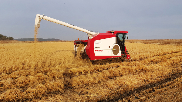 .지난해 12월 천수만A지구 휴경지에서 철새먹이를 살포하는 모습