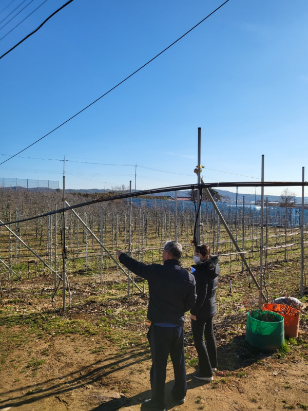 과수화상병 예방을 위한 과원관리 농가지도 현장