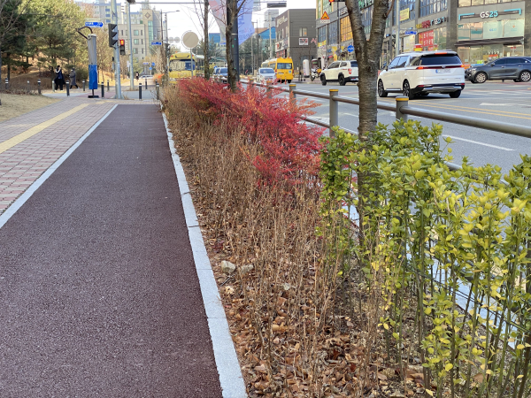 성성지구 띠녹지 조성 사례