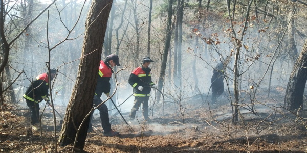 산불 대응 모습
