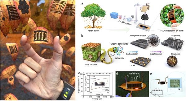 극초단 펨토초 UV 레이저 직접묘화 기반 낙엽 상 그래핀 전극 생성 과정 등