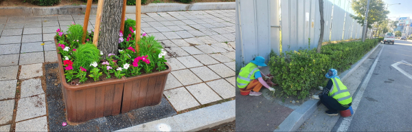 가로화단(왼쪽), 띠 녹지 제초