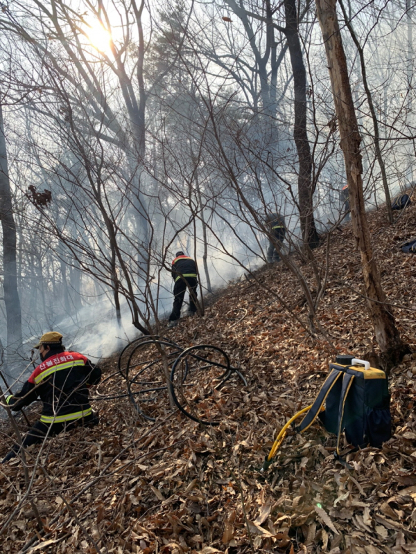 산불 진화 장면