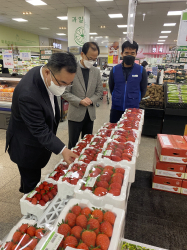 동대전농협 하나로마트 방문해 식품안전 현장점검 실시 모습