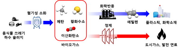 음식물 쓰레기, 하수 슬러지로부터 플라스틱, 화학소재 생산 / KIST 제공