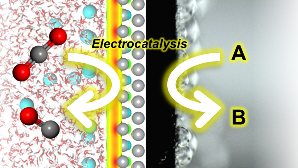 컴퓨터 속 가상공간 안에서 분자 시뮬레이션을 통해 구현한 금속 전해질 구조와 실제 모습 / KAIST 제공