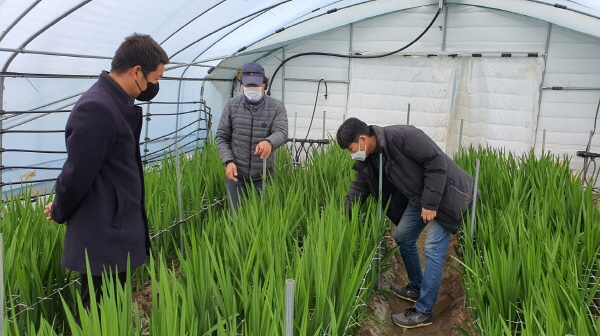 서천군 농업기술센터 농작물 관리 당부