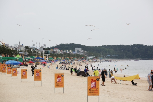 지난해 대천해수욕장 개장 모습