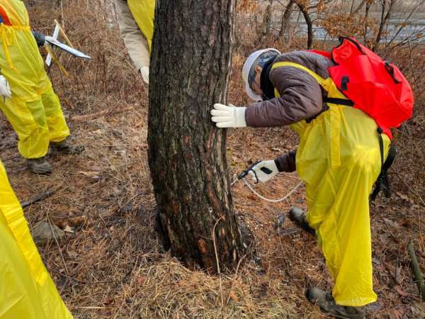 예방나무주사 사업 진행 장면