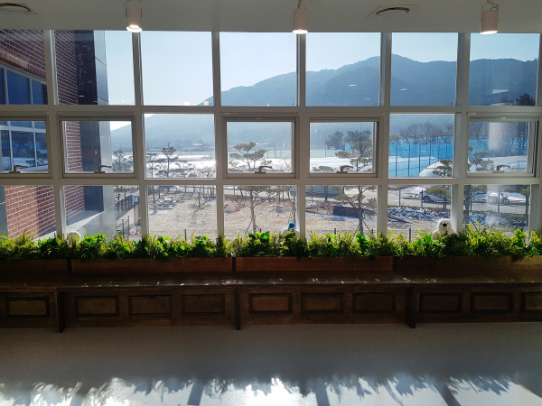 서산시동물보호센터 내 입양카페