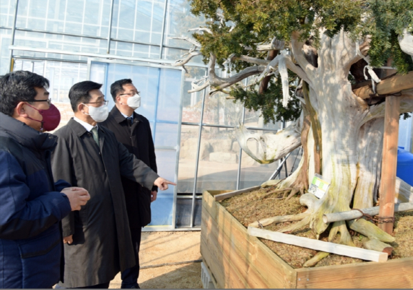 천사섬 분재공원 방문 현장, 김춘진 한국농수산식품유통공사 사장(가운데)