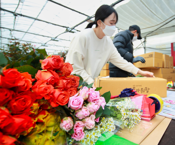 지난 7일 태안군 남면의 ‘순이플라워팜’에서 온라인 판매용 꽃을 포장하는 모습.