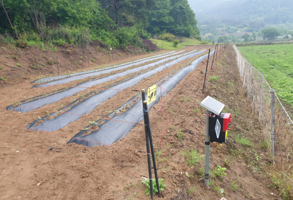 야생동물 피해예방시설 설치 모습