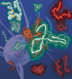 아밀로이드 베타(1-42)의 점 변이체를 이용한 야생형 아밀로이드 베타의 응집 현상 억제