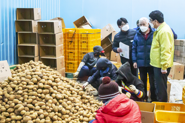 맹정호 서산시장이 11일 부석면 감자공선회 저장시설을 들러 서산시 충남형 씨감자 공급 현장을 둘러보는 사진