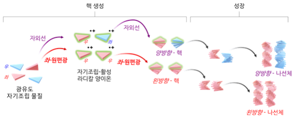 자기조립체에서 초분자 카이랄성이 발현되는 메커니즘 모식도