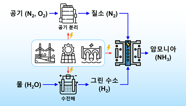 그린 수소와 그린 암모니아 생산 공정 모식도