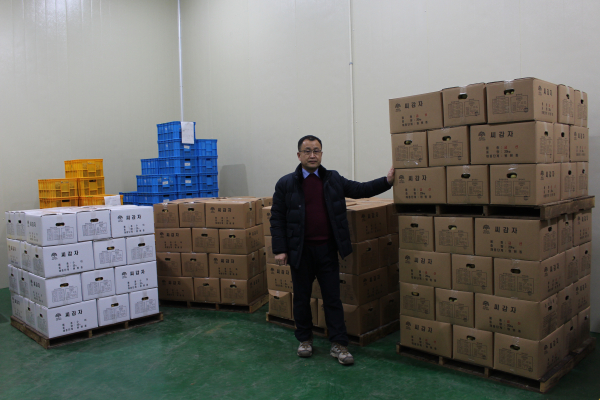 무병 씨감자 원원종/충남도 제공