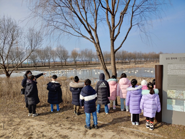 합덕제의 큰고니를 지켜보는 아이들
