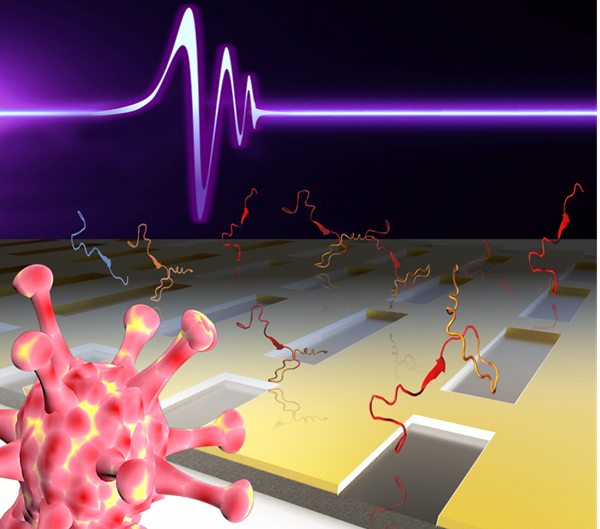 테라헤르츠 메타물질을 이용한 SARS-CoV-2 단위체 검출 및 아미노산 단위 분석