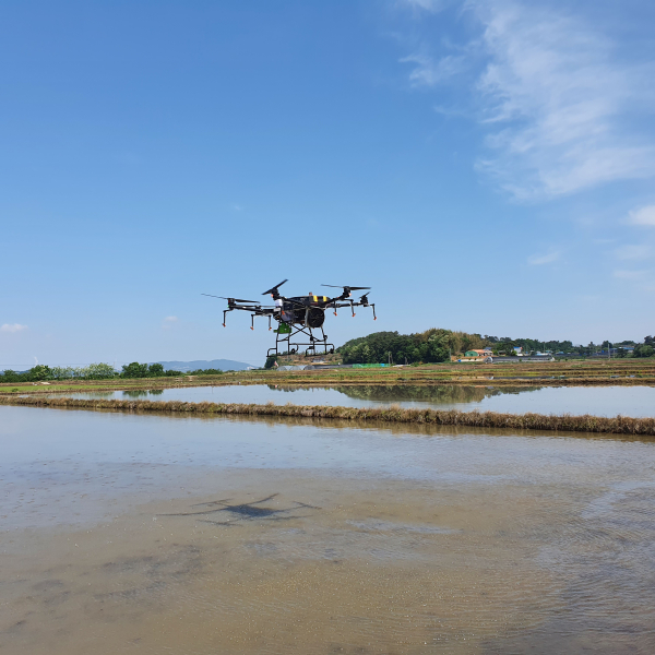 벼 드론직파 사진