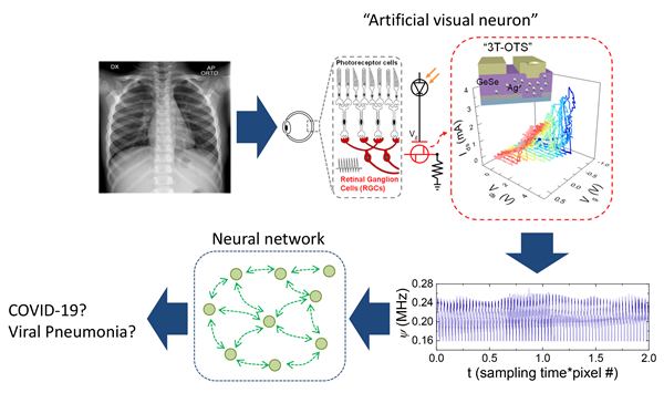 KIST가 시각 뉴런 소자의 개발 및 이를 인공지능 기술과 결합한 인-센서 컴퓨팅 기술 구현했다.