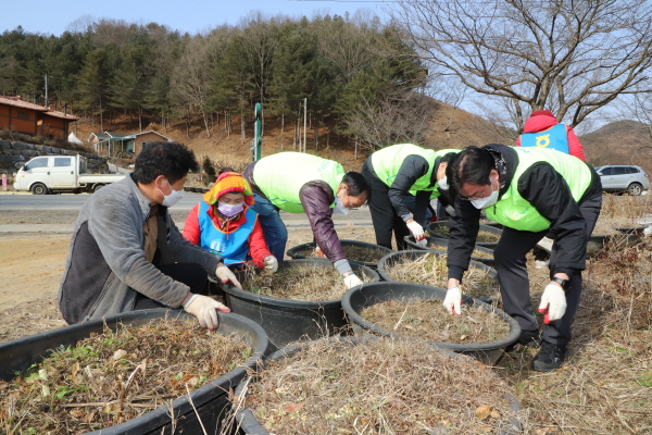 이종욱 충남세종농협본부장(오른쪽)과 농가주부모임 청양군연합회(회장 김경자)는 청양군 소재 칠갑산 산꽃마을에서 봄맞이 농촌마을 환경개선 봉사활동을 펼쳤다