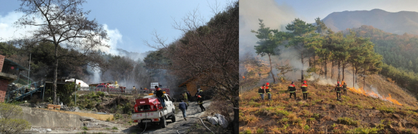 산불 진화 장면