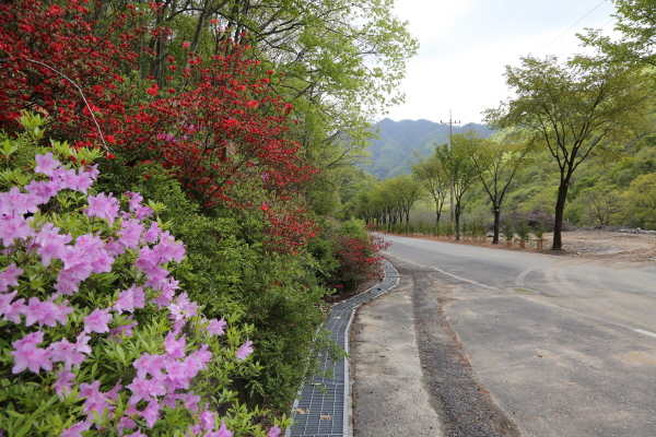 금산군 남이면 산림문화타운 입구