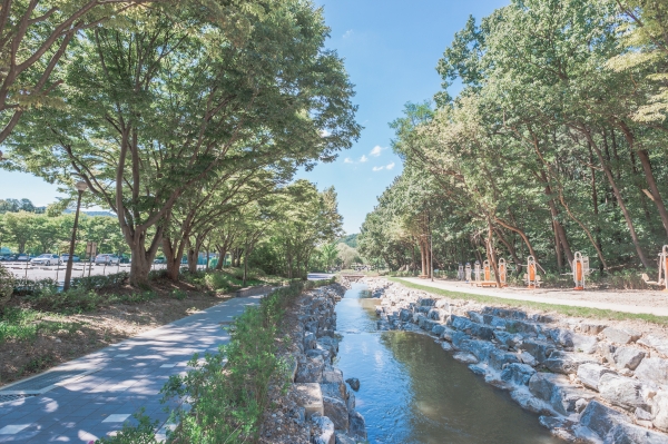 천안 태조산공원