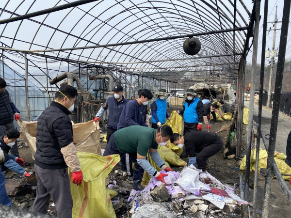 피해복구 작업(시설하우스 및 농작물 정리)